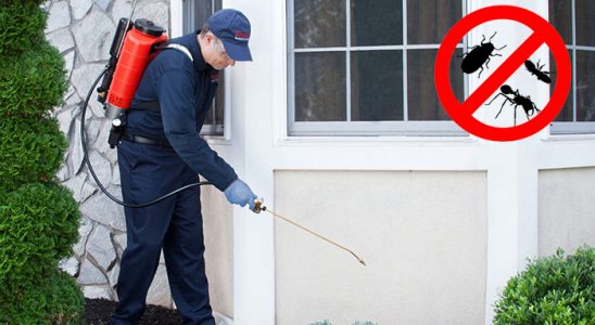 Akyazı Haşere İlaçlama böcek ilaçlama ve haşere kontrolü — ilaclama-tr.com